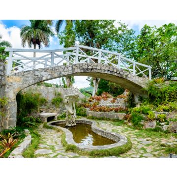 Lais Puzzle - Der botanische Garten der Soroa-Orchideen in Kuba - 40, 100, 200, 500, 1.000 & 2.000 Teile