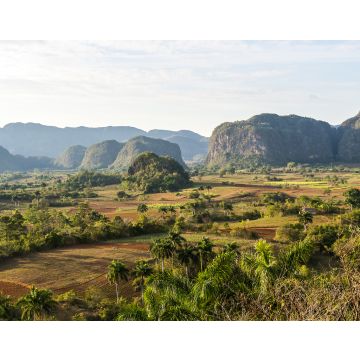 Lais Puzzle - Kuba - Tabakanbau in Vinales - 40, 100, 200, 500, 1.000 & 2.000 Teile