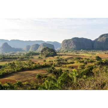 Lais Puzzle - Kuba - Tabakanbau in Vinales - 2.000 Teile