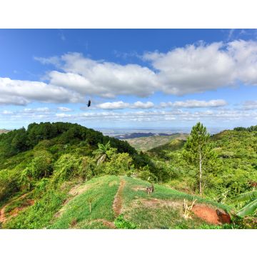Lais Puzzle - Tropische Landschaft - Cienfuegos, Kuba - 40, 100, 200, 500, 1.000 & 2.000 Teile