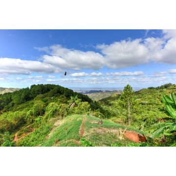 Lais Puzzle - Tropische Landschaft - Cienfuegos, Kuba - 2.000 Teile