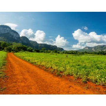 Lais Puzzle - Vinales, Kuba. Tabakanbau - 40, 100, 200, 500, 1.000 & 2.000 Teile