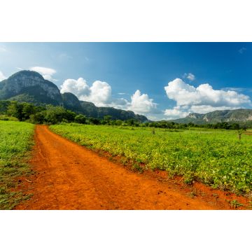 Lais Puzzle - Vinales, Kuba. Tabakanbau - 2.000 Teile