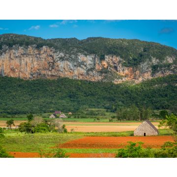 Lais Puzzle - Vinales, Kuba. Tabakanbau - 40, 100, 200, 500, 1.000 & 2.000 Teile