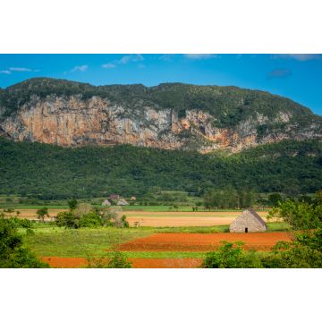 Lais Puzzle - Vinales, Kuba. Tabakanbau - 2.000 Teile