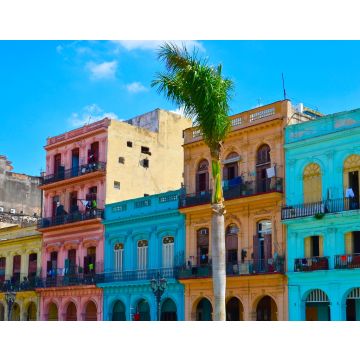 Lais Puzzle - Havanna, Kuba, bunte Kolonialhäuser, blauer Himmel im Hintergrund, Palme im Vordergrund - 40, 100, 200, 500, 1.000 & 2.000 Teile
