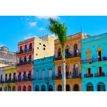 Lais Puzzle - Havanna, Kuba, bunte Kolonialhäuser, blauer Himmel im Hintergrund, Palme im Vordergrund - 1.000 Teile