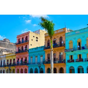 Lais Puzzle - Havanna, Kuba, bunte Kolonialhäuser, blauer Himmel im Hintergrund, Palme im Vordergrund - 2.000 Teile