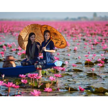 Lais Puzzle - Laos Frau in Blume Lotus See, Frau trägt traditionelle Thai Menschen, Red Lotus See UdonThani Thailand - 40, 100, 200, 500, 1.000 & 2.000 Teile