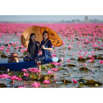 Lais Puzzle - Laos Frau in Blume Lotus See, Frau trägt traditionelle Thai Menschen, Red Lotus See UdonThani Thailand - 1.000 Teile