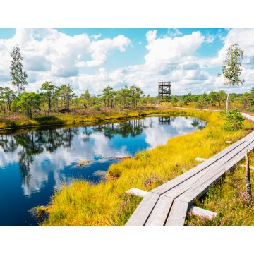 Lais Puzzle - Moorpfad im Kemeri-Nationalpark in Lettland - 40, 100, 200, 500, 1.000 & 2.000 Teile