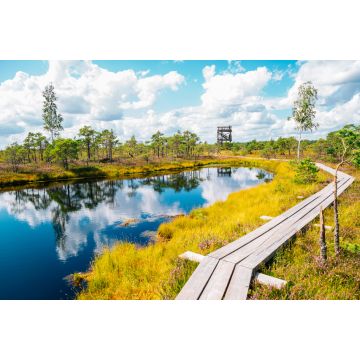 Lais Puzzle - Moorpfad im Kemeri-Nationalpark in Lettland - 2.000 Teile