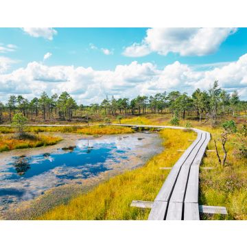 Lais Puzzle - Moorpfad im Kemeri-Nationalpark in Lettland - 40, 100, 200, 500, 1.000 & 2.000 Teile