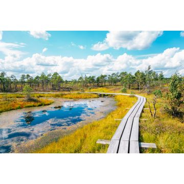 Lais Puzzle - Moorpfad im Kemeri-Nationalpark in Lettland - 2.000 Teile