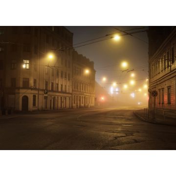 Lais Puzzle - Eine leere beleuchtete Asphaltstraße durch die alten historischen Gebäude und Häuser im nächtlichen Nebel. Straßenbeleuchtung (Laternen) in Großaufnahme. Riga, Lettland - 1.000 Teile