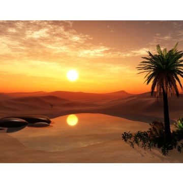 Lais Puzzle - Oase Wüstenlandschaft mit Teich, Palmen und Steinen Libyen - 40, 100, 200, 500, 1.000 & 2.000 Teile