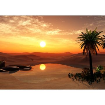 Lais Puzzle - Oase Wüstenlandschaft mit Teich, Palmen und Steinen Libyen - 1.000 Teile