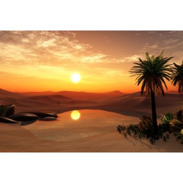 Lais Puzzle - Oase Wüstenlandschaft mit Teich, Palmen und Steinen Libyen - 2.000 Teile