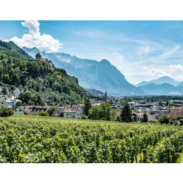 Lais Puzzle - Vaduz, die Hauptstadt von Liechtenstein, Europa - 40, 100, 200, 500, 1.000 & 2.000 Teile