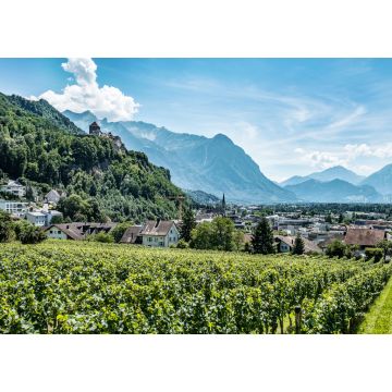 Lais Puzzle - Vaduz, die Hauptstadt von Liechtenstein, Europa - 1.000 Teile