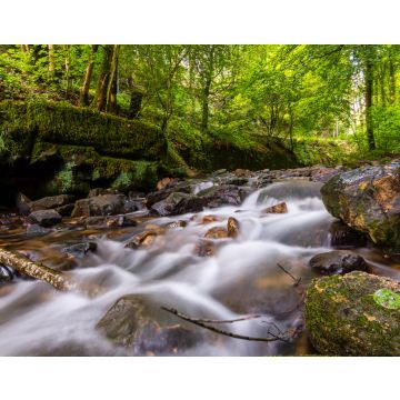 Lais Puzzle - Kleine Stromschnellen im romantischen Tal der Schwarzen Ernz in Müllerthal / Luxemburg - 40, 100, 200, 500, 1.000 & 2.000 Teile
