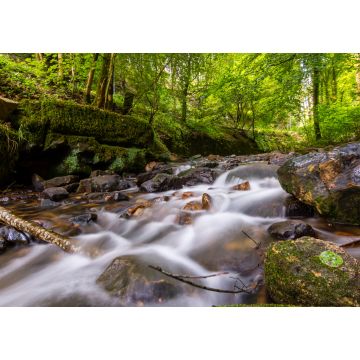 Lais Puzzle - Kleine Stromschnellen im romantischen Tal der Schwarzen Ernz in Müllerthal / Luxemburg - 1.000 Teile