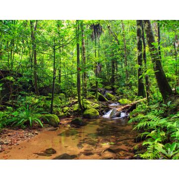 Lais Puzzle - Schöner Blick auf einen Bach im Regenwalddschungel des Masoala-Nationalparks in Madagaskar, einem UNESCO-Welterbe - 40, 100, 200, 500, 1.000 & 2.000 Teile
