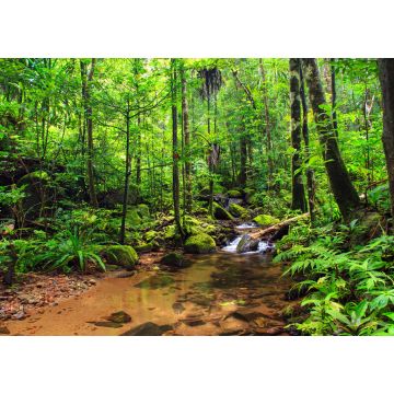 Lais Puzzle - Schöner Blick auf einen Bach im Regenwalddschungel des Masoala-Nationalparks in Madagaskar, einem UNESCO-Welterbe - 1.000 Teile