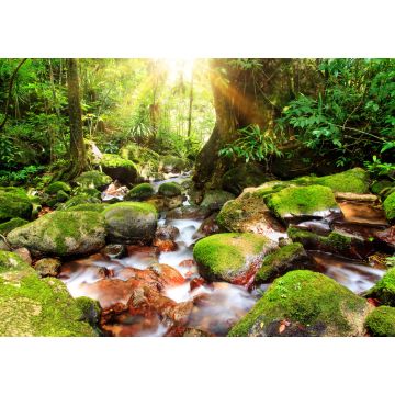 Lais Puzzle - Schöner Blick auf einen Bach im Regenwalddschungel des Masoala-Nationalparks in Madagaskar, einem UNESCO-Welterbe - 1.000 Teile