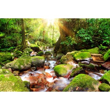 Lais Puzzle - Schöner Blick auf einen Bach im Regenwalddschungel des Masoala-Nationalparks in Madagaskar, einem UNESCO-Welterbe - 2.000 Teile