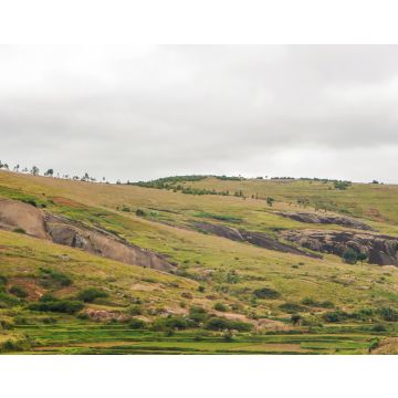 Lais Puzzle - Typische Madagaskar-Landschaft in der Region um Farariana an einem bedeckten Tag. Eher flaches Grasland mit nur wenigen Bäumen, mit einigen Felsen und Hügeln, Reisfelder im Vordergund - 40, 100, 200, 500, 1.000 & 2.000 Teile