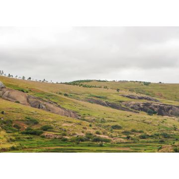 Lais Puzzle - Typische Madagaskar-Landschaft in der Region um Farariana an einem bedeckten Tag. Eher flaches Grasland mit nur wenigen Bäumen, mit einigen Felsen und Hügeln, Reisfelder im Vordergund - 1.000 Teile