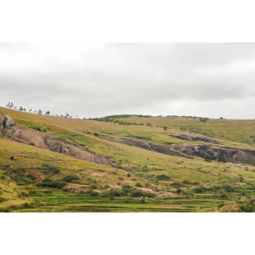 Lais Puzzle - Typische Madagaskar-Landschaft in der Region um Farariana an einem bedeckten Tag. Eher flaches Grasland mit nur wenigen Bäumen, mit einigen Felsen und Hügeln, Reisfelder im Vordergund - 2.000 Teile