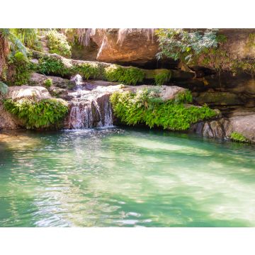 Lais Puzzle - Atemberaubende Oase namens "la piscine naturelle", ein palmengesäumtes Becken, das ständig von einem kristallklaren Wasserfall gespeist wird, Isalo-Nationalpark, Madagaskar - 40, 100, 200, 500, 1.000 & 2.000 Teile
