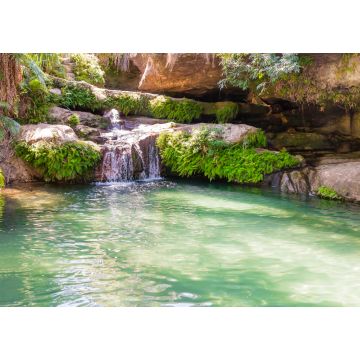Lais Puzzle - Atemberaubende Oase namens "la piscine naturelle", ein palmengesäumtes Becken, das ständig von einem kristallklaren Wasserfall gespeist wird, Isalo-Nationalpark, Madagaskar - 1.000 Teile