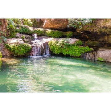 Lais Puzzle - Atemberaubende Oase namens "la piscine naturelle", ein palmengesäumtes Becken, das ständig von einem kristallklaren Wasserfall gespeist wird, Isalo-Nationalpark, Madagaskar - 2.000 Teile