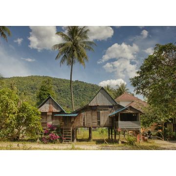 Lais Puzzle - Traditionelles Landhaus mit Palme, Dorf auf der Insel Penang, Malaysia - 1.000 Teile