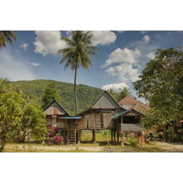 Lais Puzzle - Traditionelles Landhaus mit Palme, Dorf auf der Insel Penang, Malaysia - 2.000 Teile
