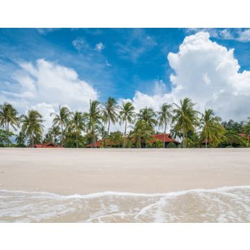 Lais Puzzle - Schöner weißer Sandstrand mit Resort und Kokospalme, Langkawi, Malaysia - 40, 100, 200, 500, 1.000 & 2.000 Teile