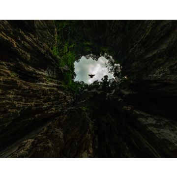 Lais Puzzle - Sehr schnell fliegende Tauben in der Butu-Höhle, einem der spirituellen Orte der indischen Gemeinschaft in Malaysia - 40, 100, 200, 500, 1.000 & 2.000 Teile