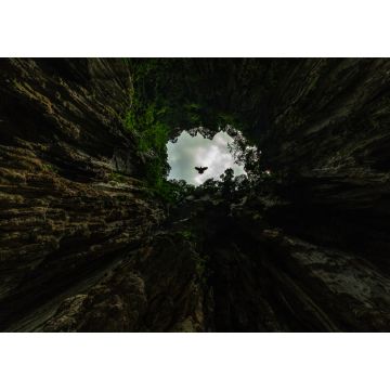 Lais Puzzle - Sehr schnell fliegende Tauben in der Butu-Höhle, einem der spirituellen Orte der indischen Gemeinschaft in Malaysia - 1.000 Teile