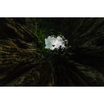 Lais Puzzle - Sehr schnell fliegende Tauben in der Butu-Höhle, einem der spirituellen Orte der indischen Gemeinschaft in Malaysia - 2.000 Teile
