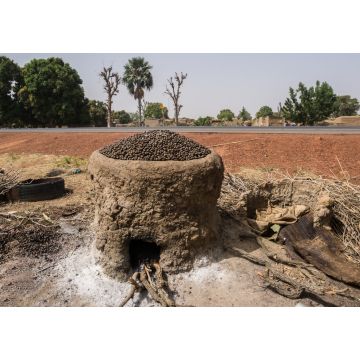 Lais Puzzle - Ein Haufen Kariténüsse, die in einem Lehmofen geröstet werden. Mali, Westafrika - 1.000 Teile