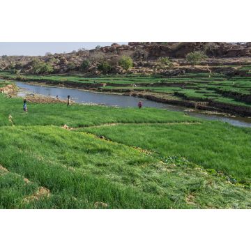 Lais Puzzle - Dogon-Landwirtschaft, Pays Dogon, Mali - 2.000 Teile