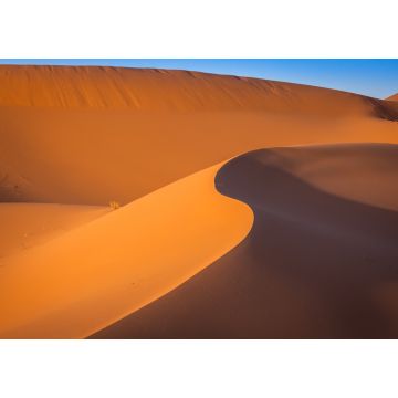Lais Puzzle - Sanddünen in der Wüste Sahara, Merzouga, Marokko - 1.000 Teile