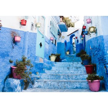 Lais Puzzle - Blaue Allee mit Blumentöpfen in der Medina, Chefchaouen, Marokko - 1.000 Teile
