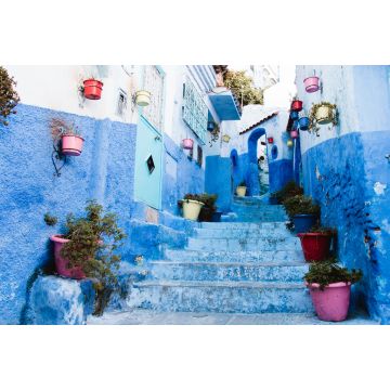 Lais Puzzle - Blaue Allee mit Blumentöpfen in der Medina, Chefchaouen, Marokko - 2.000 Teile