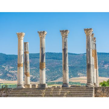 Lais Puzzle - Römische Ruinen von Volubilis, Marokko - 40, 100, 200, 500, 1.000 & 2.000 Teile