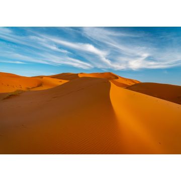 Lais Puzzle - Sanddünen in der Wüste Sahara, Marokko - 1.000 Teile
