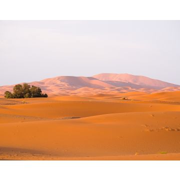 Lais Puzzle - Frühes Morgenlicht an den Wüstendünen Erg Chebbi im Süden Marokkos, in der Nähe von Merzouga - 40, 100, 200, 500, 1.000 & 2.000 Teile